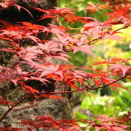 Usuki Yunosato 호텔 Saiki 외부 사진